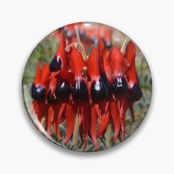 Item preview, Australia Sturt Desert Pea designed and sold by Schoensl.