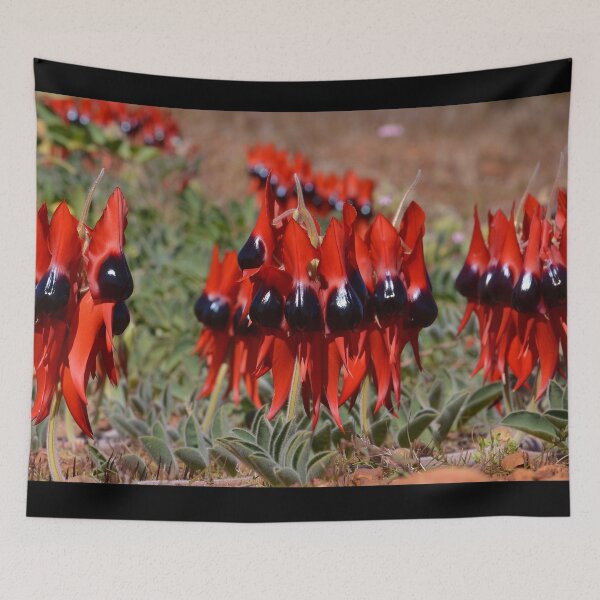 Item preview, Australia Sturt Desert Pea designed and sold by Schoensl.