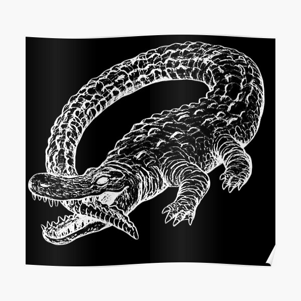 Crocodile Catfish and the bottlemen - The ride Poster