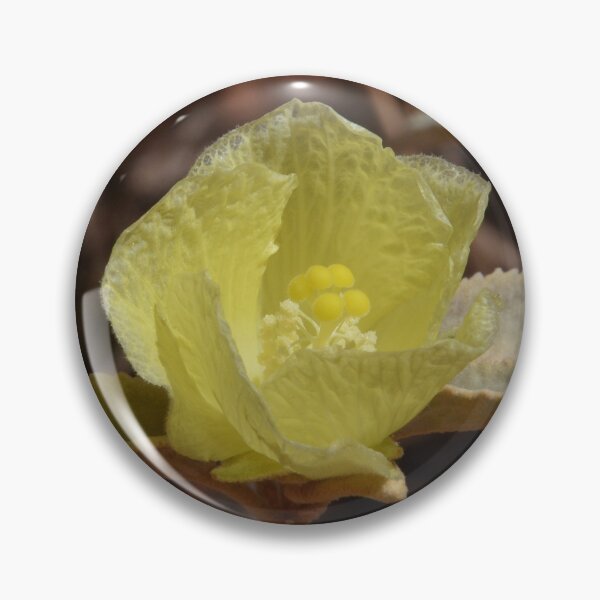 Item preview, Chinese Lanterns, Abutilon, Australia designed and sold by Schoensl.