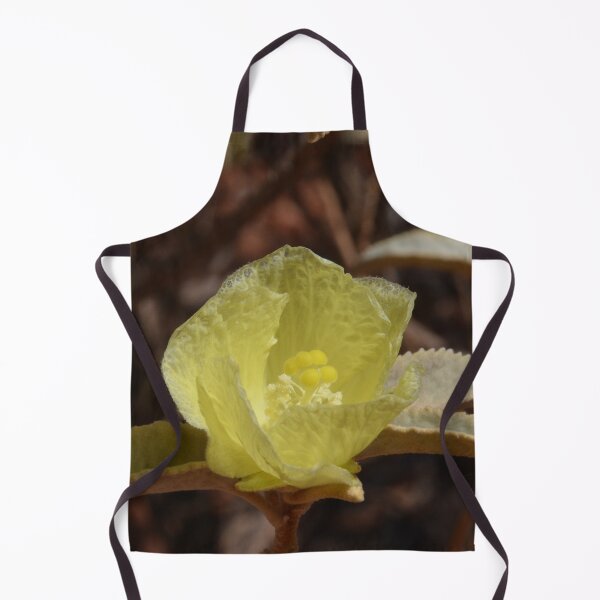 Item preview, Chinese Lanterns, Abutilon, Australia designed and sold by Schoensl.