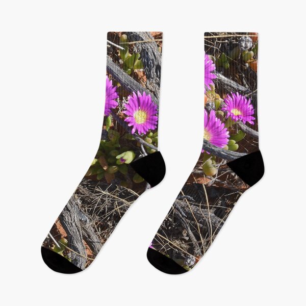 Item preview, Pigface, Carpobrotus glaucescens Australia designed and sold by Schoensl.