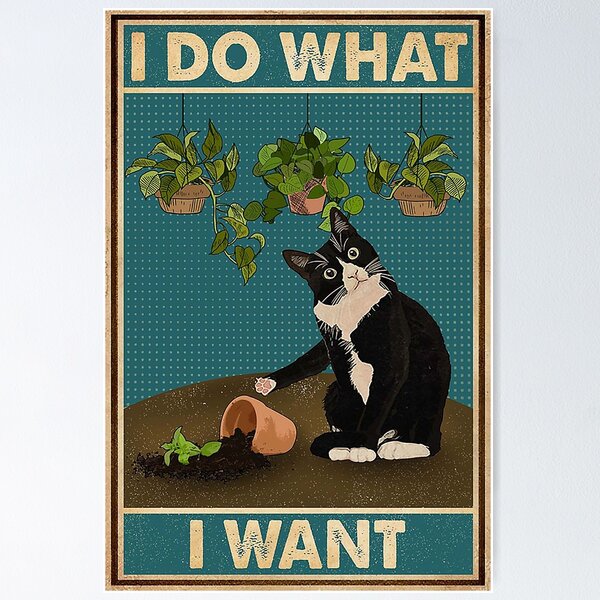 Funny Cat Beer' Poster, picture, metal print, paint by Neo Design