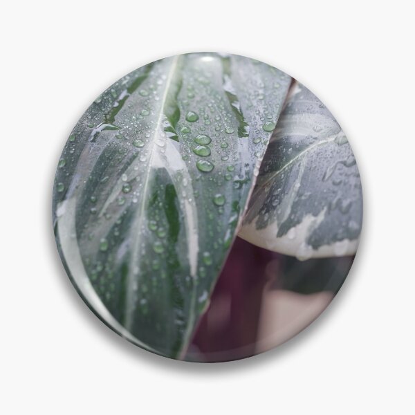 Item preview, Calathea Triostar designed and sold by mhailittlearts.