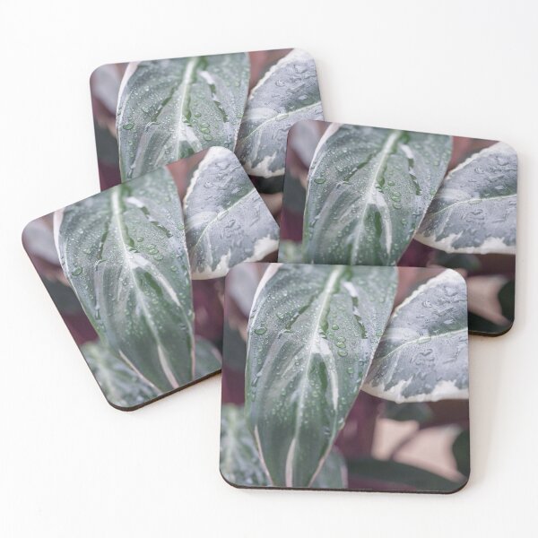 Item preview, Calathea Triostar designed and sold by mhailittlearts.