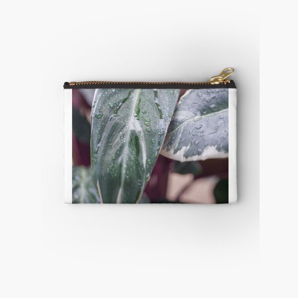 Item preview, Calathea Triostar designed and sold by mhailittlearts.