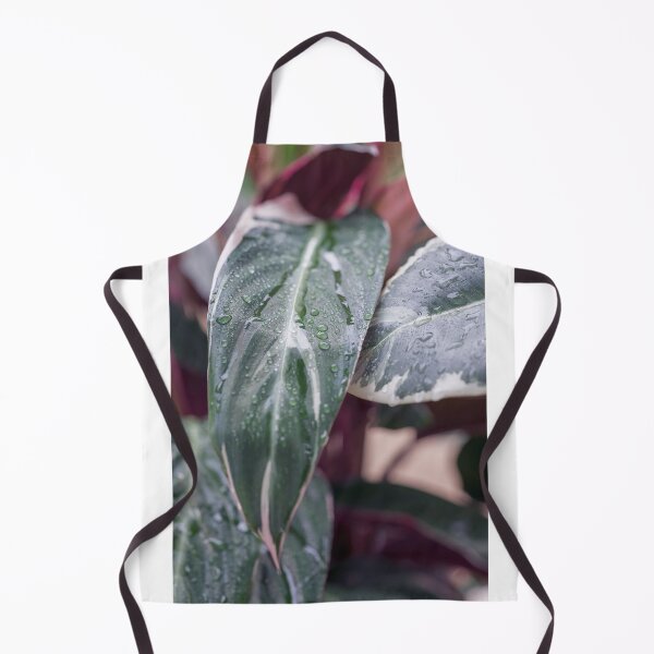 Item preview, Calathea Triostar designed and sold by mhailittlearts.