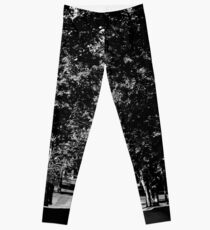 Down the lane... Leggings