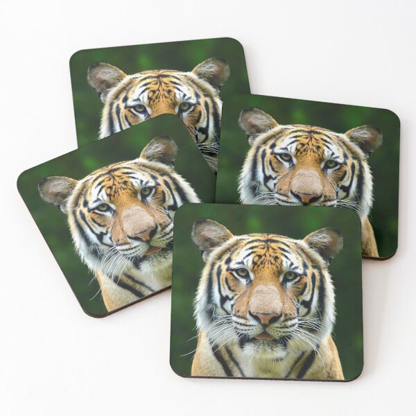 Item preview, Eyes of the Tiger designed and sold by richardbryce.