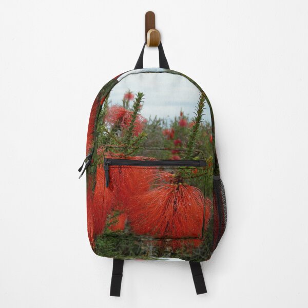 Item preview, Gravel Bottlebrush Beaufortia decussata Australia designed and sold by Schoensl.