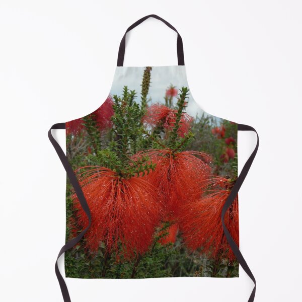 Item preview, Gravel Bottlebrush Beaufortia decussata Australia designed and sold by Schoensl.