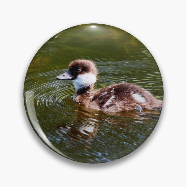 Item preview, So young so brave. Common goldeneye designed and sold by Jouko Lehto Photography.