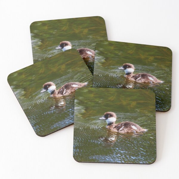 Item preview, So young so brave. Common goldeneye designed and sold by Jouko Lehto Photography.