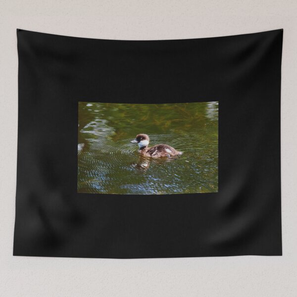 Item preview, So young so brave. Common goldeneye designed and sold by Jouko Lehto Photography.