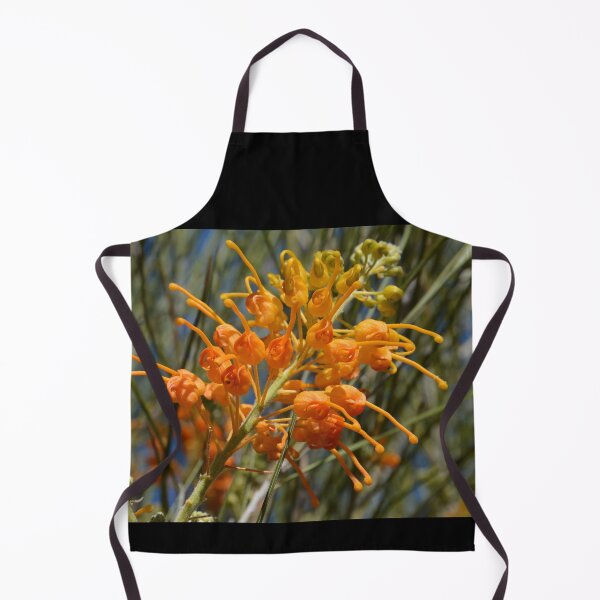 Item preview, Desert Grevillea, Grevillea juncifolia, Australia designed and sold by Schoensl.