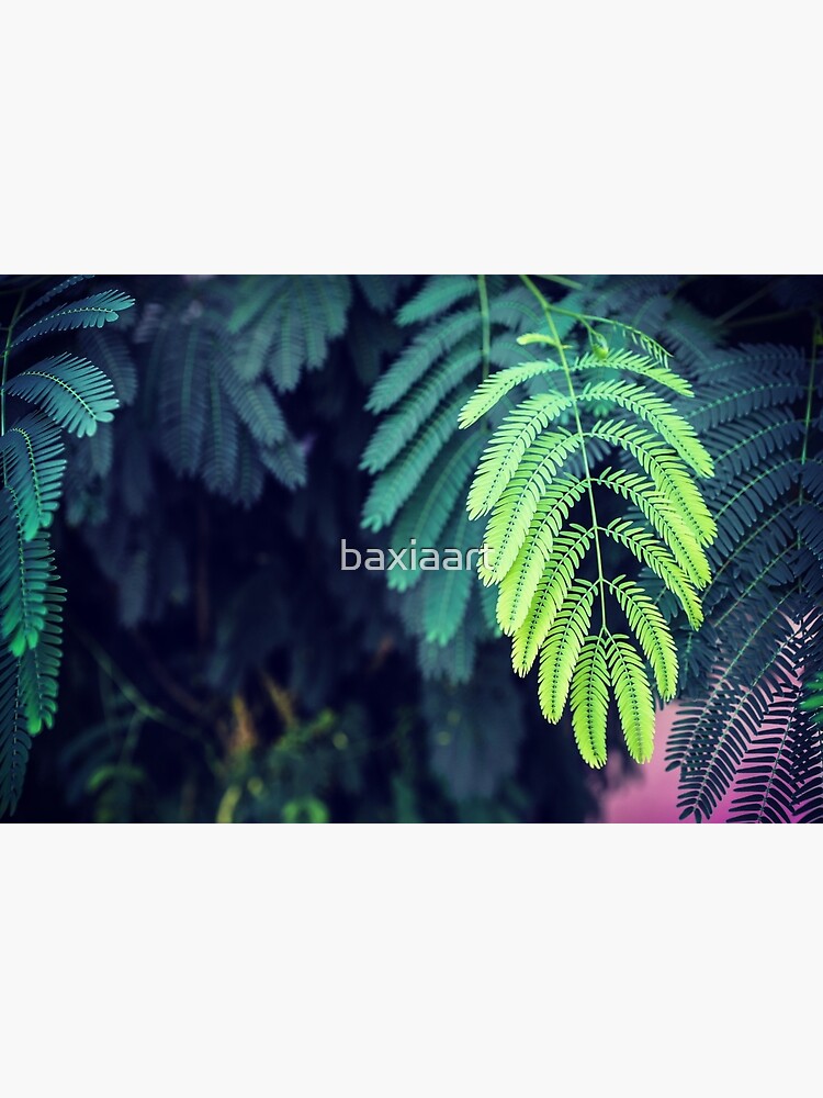 Green garden 3 by baxiaart