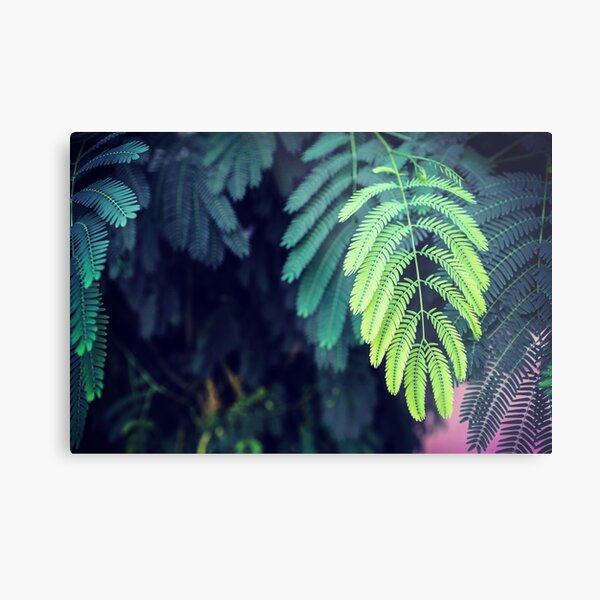 Green garden 3 Metal Print