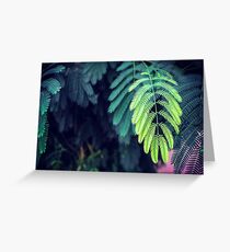 Green garden 3 Greeting Card