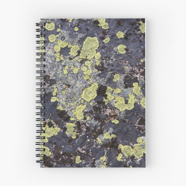 Item preview, Lichen and Rock designed and sold by WorldDesign.