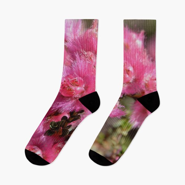 Item preview, Pink Feather-flowers, Pink Verticordia, Australia  designed and sold by Schoensl.