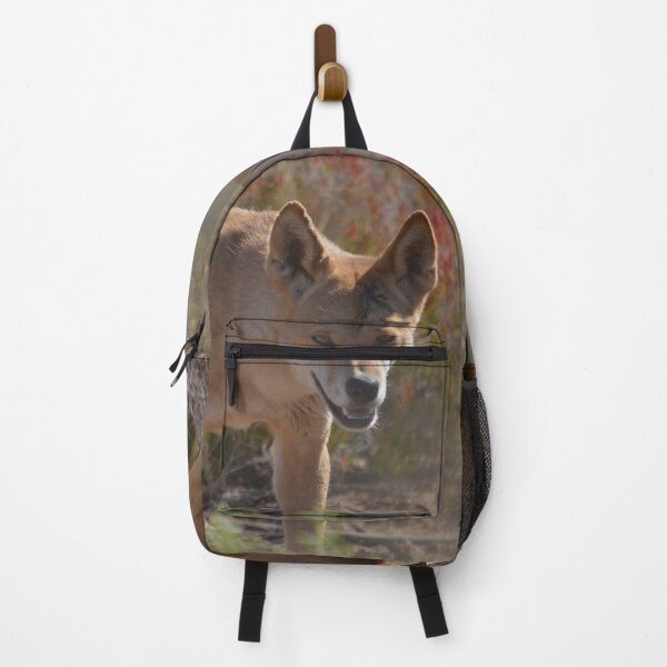 Item preview, Dingo close-up portrait Australia designed and sold by Schoensl.