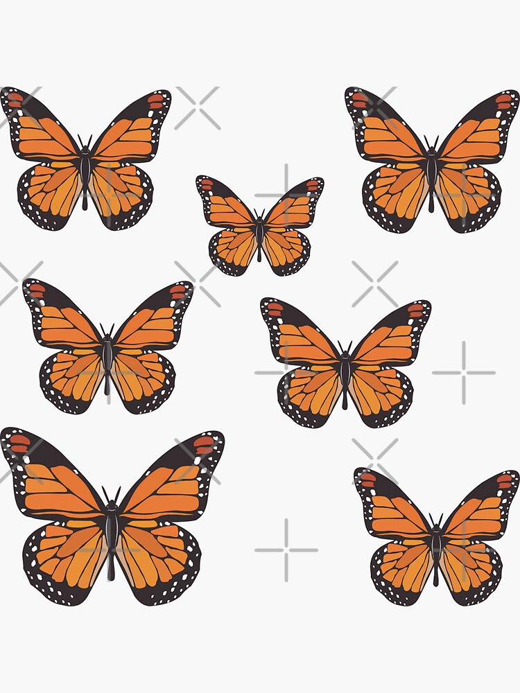 "Umi butterfly" Sticker for Sale by RIAD16 Redbubble