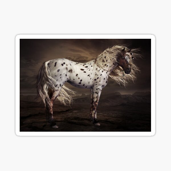 Leopard Appaloosa Sticker