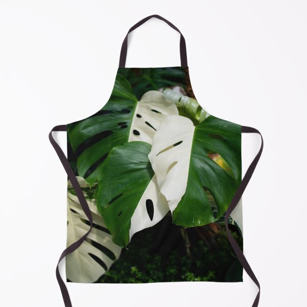 Item preview, Monstera Albo half moon leaf variegated borsigiana plant in the garden. designed and sold by IMPHives.