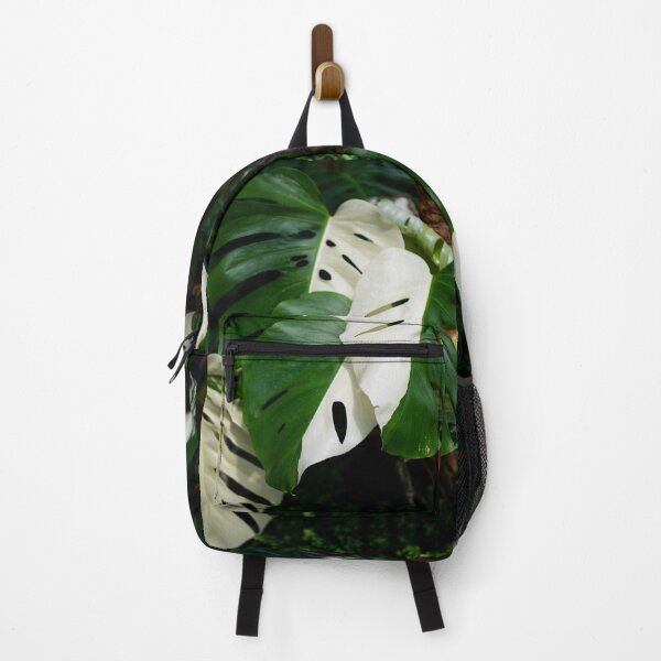 Item preview, Monstera Albo half moon leaf variegated borsigiana plant in the garden. designed and sold by IMPHives.