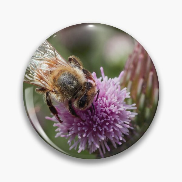 Item preview, Busy as a bee. European honey bee designed and sold by Jouko Lehto Photography.