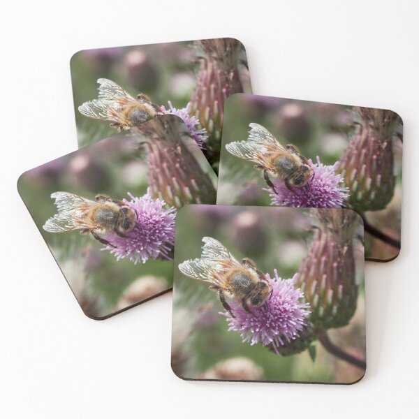 Item preview, Busy as a bee. European honey bee designed and sold by Jouko Lehto Photography.