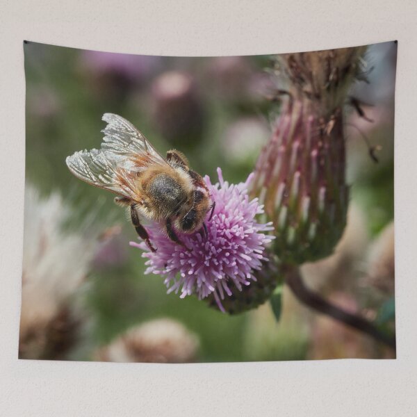 Item preview, Busy as a bee. European honey bee designed and sold by Jouko Lehto Photography.