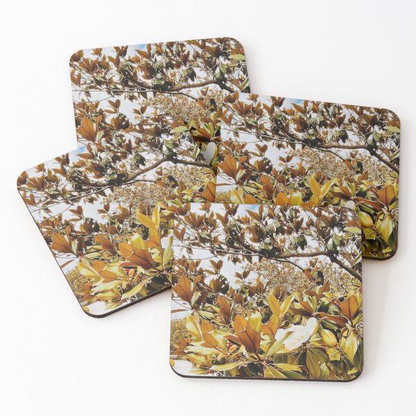 Item preview, Green leaves and flowers in the Retiro Park, Madrid. designed and sold by Silvina  Cupayolo.