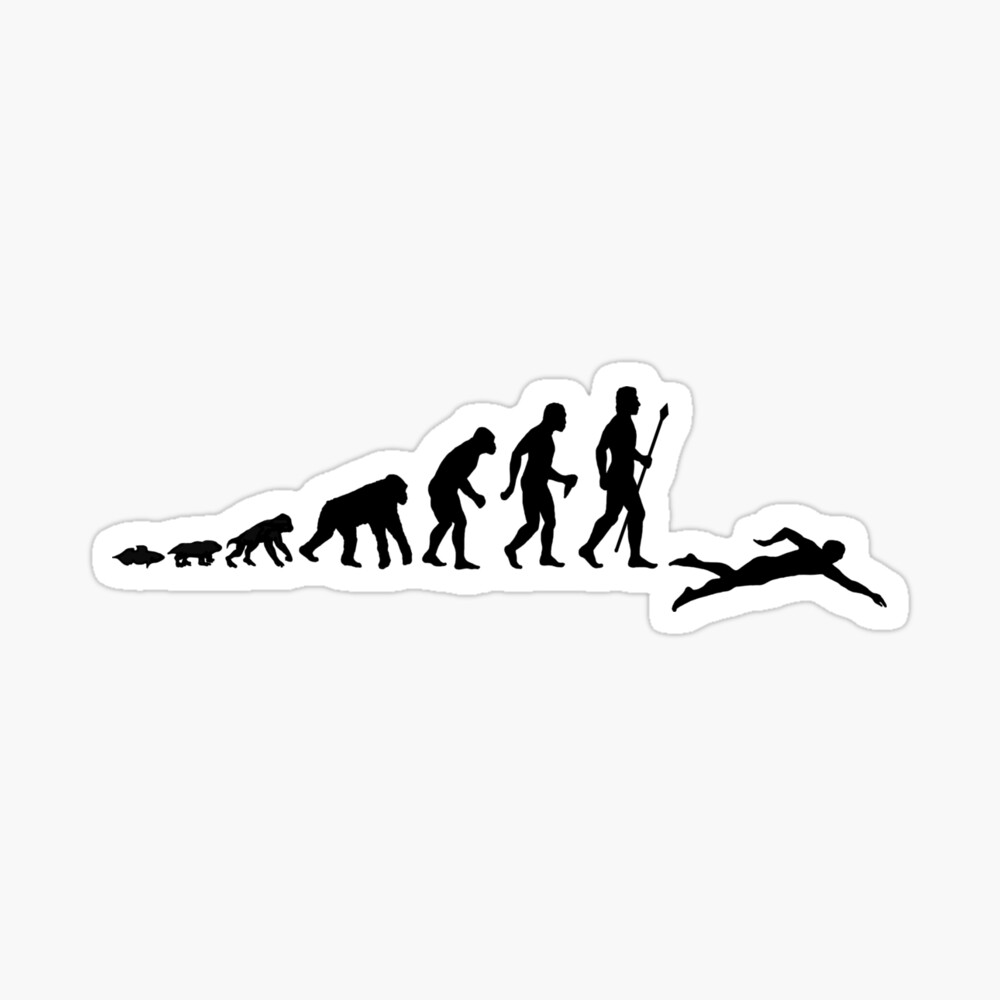 Swimming Evolution Of Man Poster for Sale by BeyondEvolved