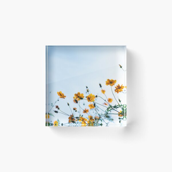 Item preview, Happy Yellow Cosmos Flowers designed and sold by Benn-IA.