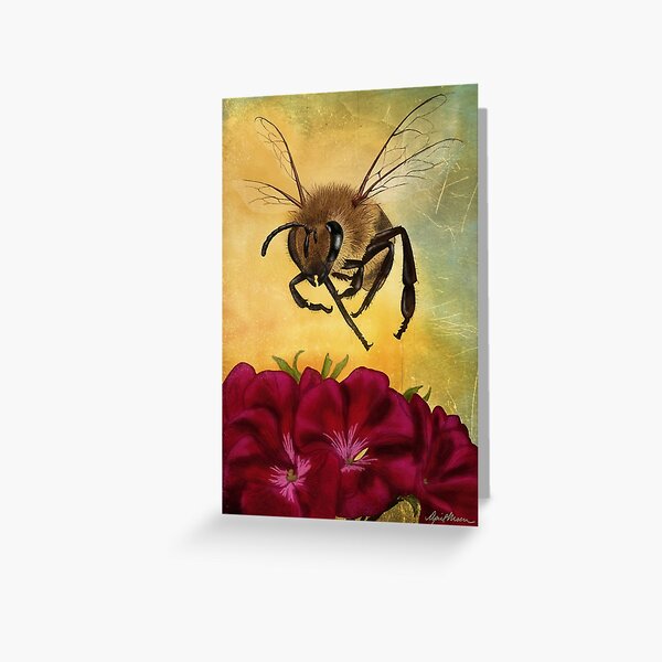 Greeting Card