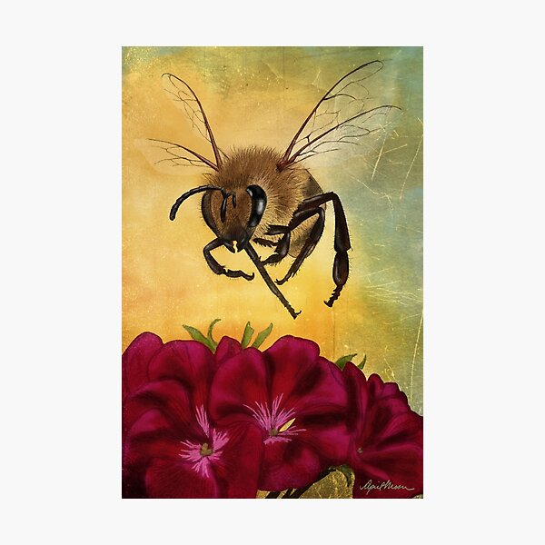Photographic Print