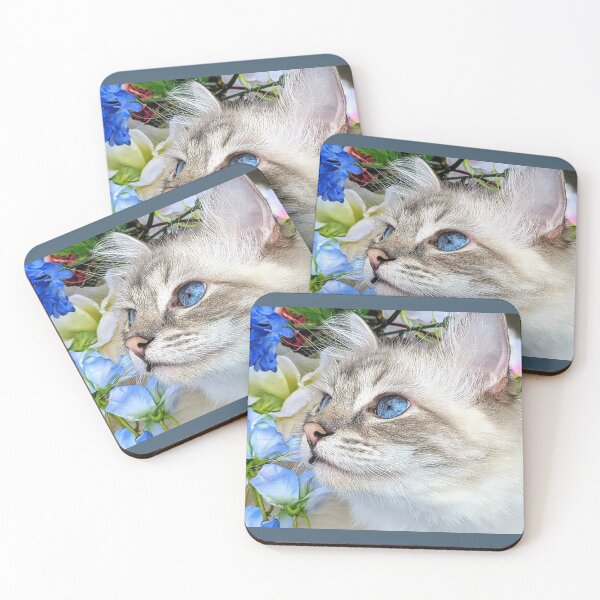 Item preview, Saoirse the lynx ragdoll cat designed and sold by Fluffycat2020.