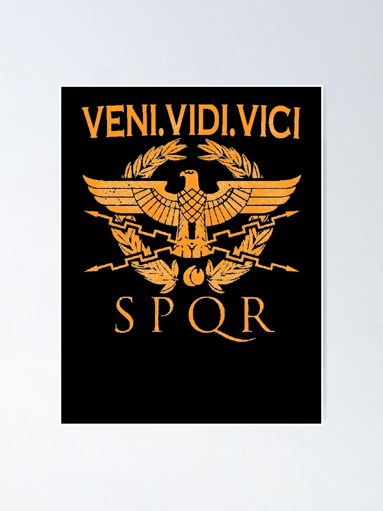 Veni Vidi Vici Poster for Sale by JPK21