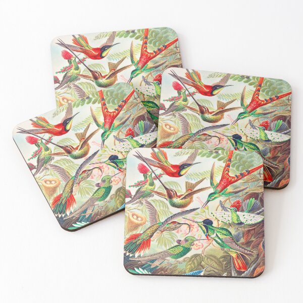 Aperçu de l'œuvre Trochilidae – Kolibris par Ernst Haeckel créée et vendue par Rui Valverde.
