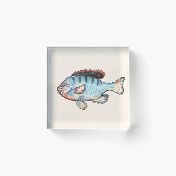 Item preview, Lepomis gibbosus fish designed and sold by lordyswiss.