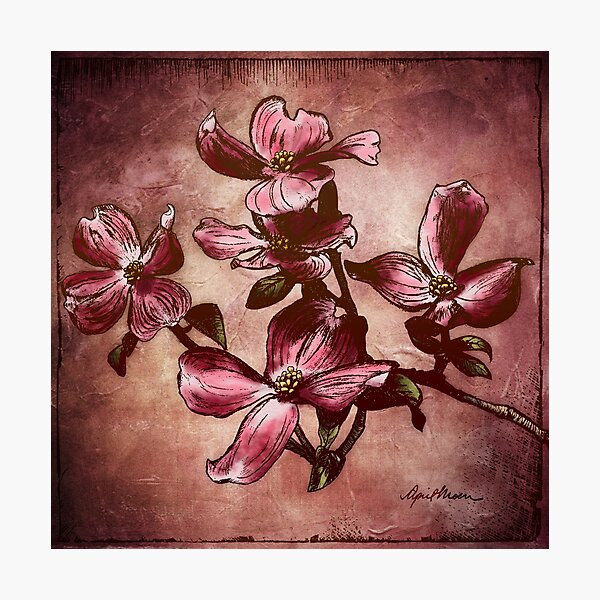 Photographic Print