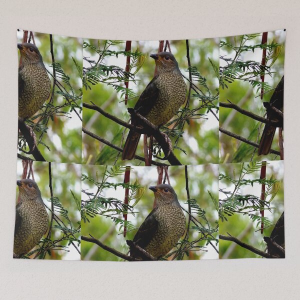 Item preview, Female Bowerbird designed and sold by sandysartstudio.