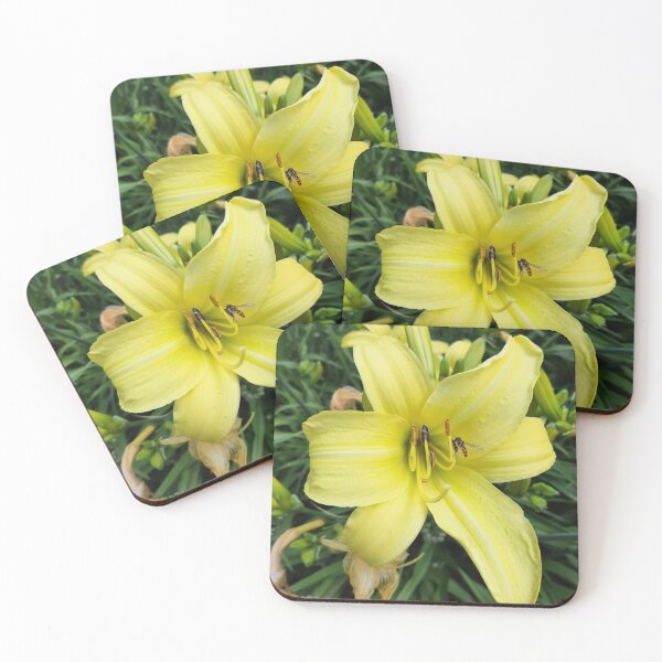 Item preview, Lily designed and sold by jdphotos.