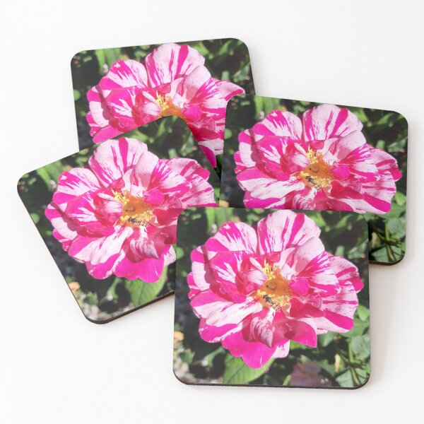 Item preview, Rose designed and sold by jdphotos.