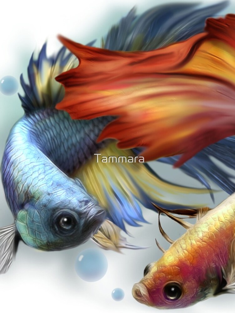 Beta by Tammara