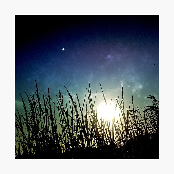 Paysage marin Photographic Print