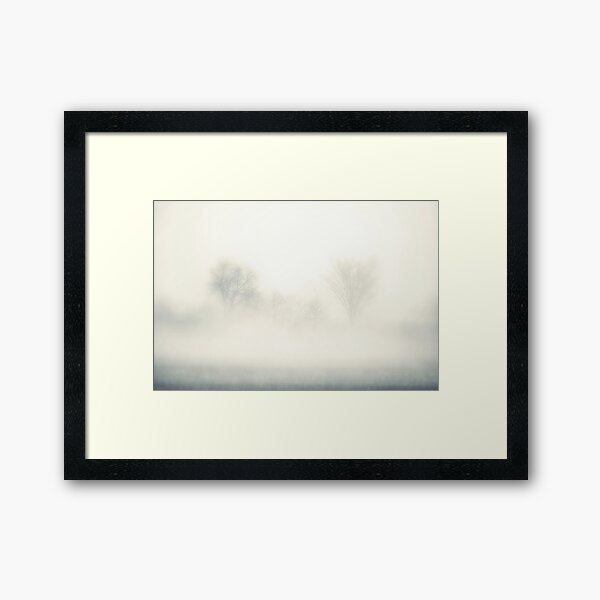 Framed Print