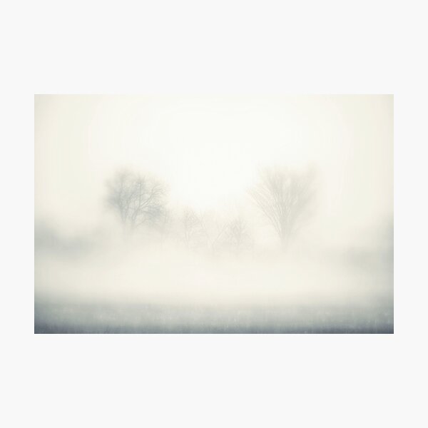 Photographic Print