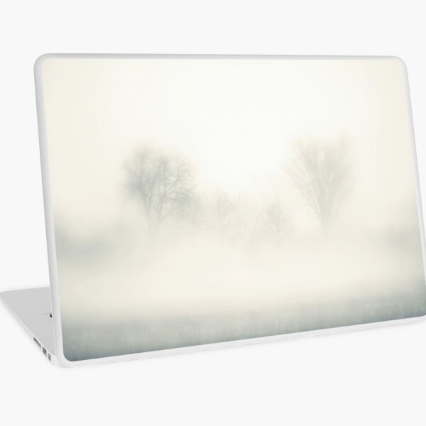 Macbook Air 13" (2015)